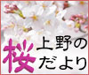 上野の桜だより